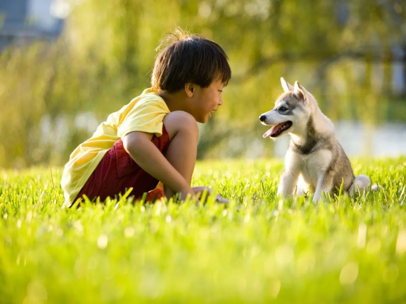 Những cách dạy trẻ yêu thương động vật cực đơn giản